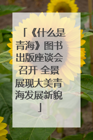 《什么是青海》图书出版座谈会召开 全景展现大美青海发展新貌