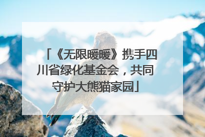 《无限暖暖》携手四川省绿化基金会，共同守护大熊猫家园