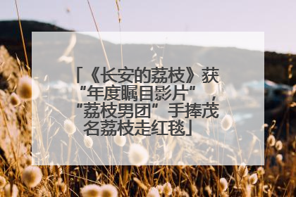 《长安的荔枝》获“年度瞩目影片”，“荔枝男团”手捧茂名荔枝走红毯