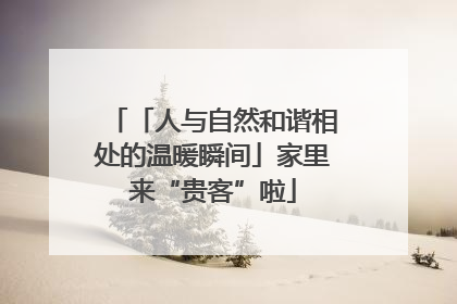 「人与自然和谐相处的温暖瞬间」家里来“贵客”啦