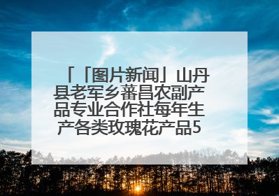 「图片新闻」山丹县老军乡蕃昌农副产品专业合作社每年生产各类玫瑰花产品500多吨