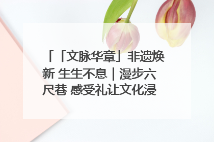 「文脉华章」非遗焕新 生生不息｜漫步六尺巷 感受礼让文化浸润的“巷”往生活