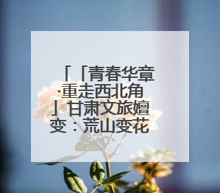 「青春华章·重走西北角」甘肃文旅嬗变：荒山变花海，文创“语”千年