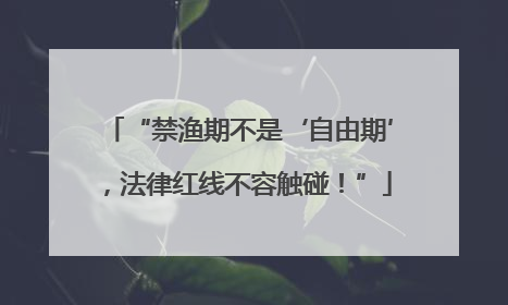 “禁渔期不是‘自由期’，法律红线不容触碰！”