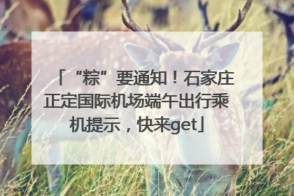 “粽”要通知！石家庄正定国际机场端午出行乘机提示，快来get