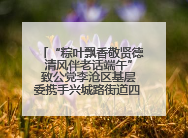 “粽叶飘香敬贤德 清风伴老话端午” 致公党李沧区基层委携手兴城路街道四流北路社区开展端午节主题活动