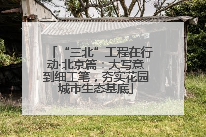 “三北”工程在行动·北京篇：大写意到细工笔，夯实花园城市生态基底
