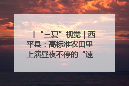 “三夏”视觉｜西平县：高标准农田里上演昼夜不停的“速度与激情”