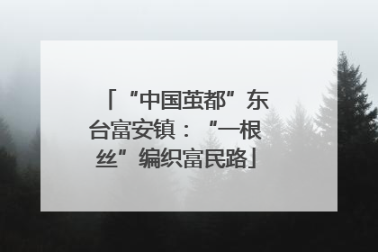 “中国茧都”东台富安镇：“一根丝”编织富民路
