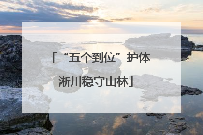 “五个到位”护体 淅川稳守山林