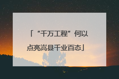 “千万工程”何以点亮嵩县千业百态