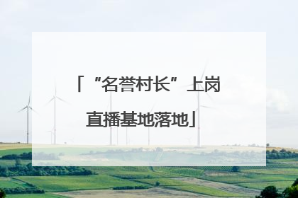 “名誉村长”上岗 直播基地落地