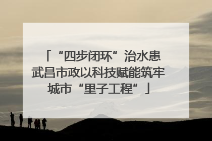“四步闭环”治水患 武昌市政以科技赋能筑牢城市“里子工程”