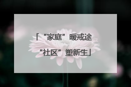 “家庭”暖戒途 “社区”塑新生