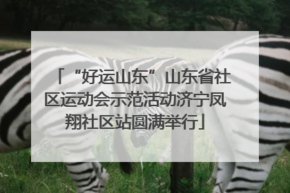 “好运山东”山东省社区运动会示范活动济宁凤翔社区站圆满举行