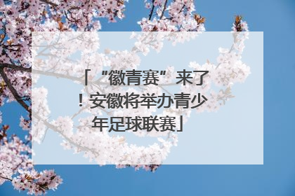 “徽青赛”来了！安徽将举办青少年足球联赛
