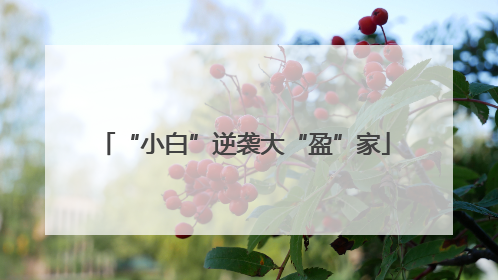 “小白”逆袭大“盈”家