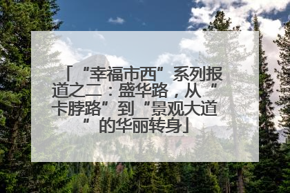 “幸福市西”系列报道之二：盛华路，从“卡脖路”到“景观大道”的华丽转身