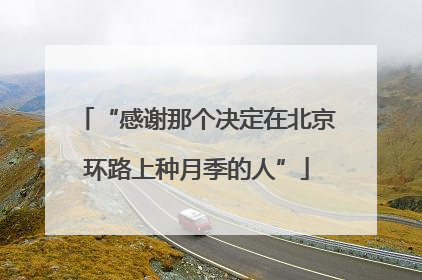 “感谢那个决定在北京环路上种月季的人”