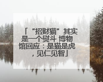 “招财猫”其实是一个熨斗 博物馆回应：是猫是虎，见仁见智