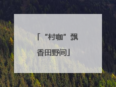 “村咖”飘香田野间