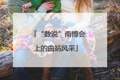 “数说”南博会上的曲靖风采