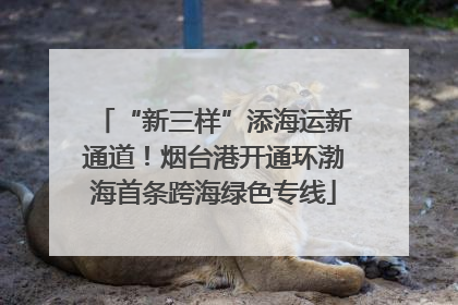 “新三样”添海运新通道！烟台港开通环渤海首条跨海绿色专线