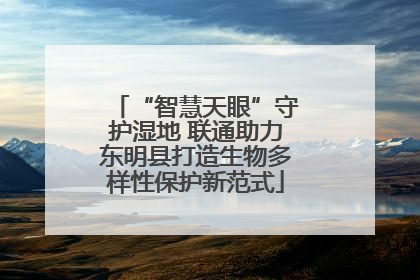 “智慧天眼”守护湿地 联通助力东明县打造生物多样性保护新范式