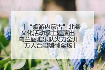 “歌游内蒙古”北疆文化活动季主题演出 乌兰图雅乐队火力全开 万人合唱嗨翻全场