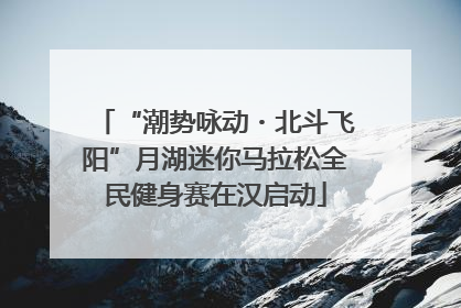 “潮势咏动・北斗飞阳”月湖迷你马拉松全民健身赛在汉启动