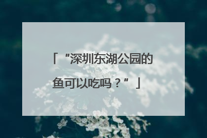 “深圳东湖公园的鱼可以吃吗？”