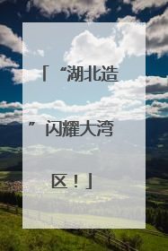 “湖北造”闪耀大湾区！