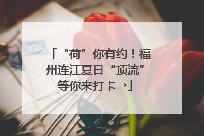 “荷”你有约！福州连江夏日“顶流”等你来打卡→