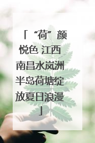 “荷”颜悦色 江西南昌水岚洲半岛荷塘绽放夏日浪漫