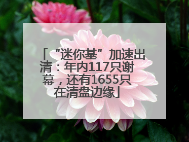 “迷你基”加速出清：年内117只谢幕，还有1655只在清盘边缘