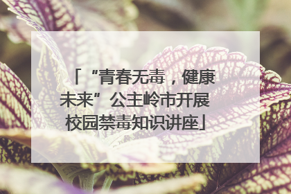 “青春无毒，健康未来”公主岭市开展校园禁毒知识讲座