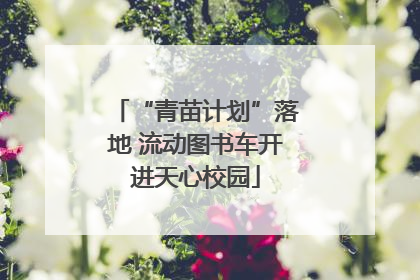 “青苗计划”落地 流动图书车开进天心校园