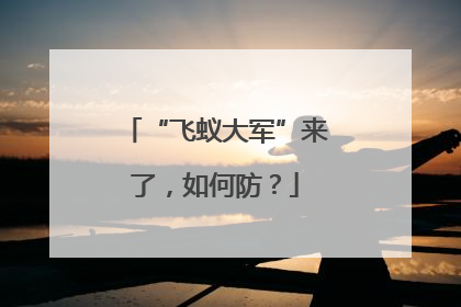 “飞蚁大军”来了，如何防？