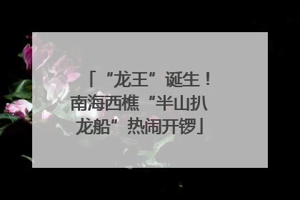 “龙王”诞生！南海西樵“半山扒龙船”热闹开锣