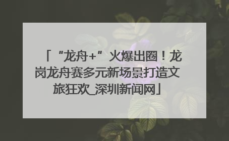 “龙舟+”火爆出圈！龙岗龙舟赛多元新场景打造文旅狂欢_深圳新闻网