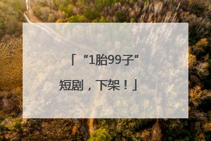 “1胎99子”短剧，下架！