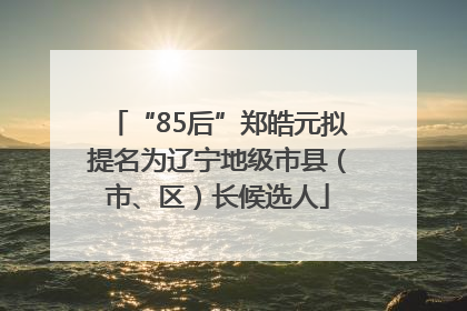 “85后”郑皓元拟提名为辽宁地级市县（市、区）长候选人
