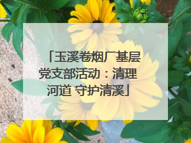 玉溪卷烟厂基层党支部活动：清理河道 守护清溪