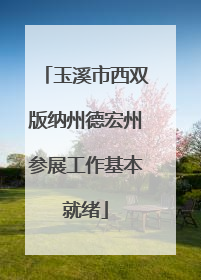 玉溪市西双版纳州德宏州参展工作基本就绪