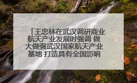 王忠林在武汉调研商业航天产业发展时强调 做大做强武汉国家航天产业基地 打造具有全国影响力的“中国星谷”