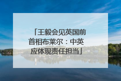 王毅会见英国前首相布莱尔：中英应体现责任担当