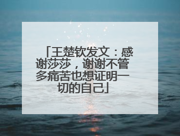 王楚钦发文：感谢莎莎，谢谢不管多痛苦也想证明一切的自己