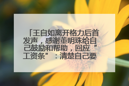 王自如离开格力后首发声，感谢董明珠给自己鼓励和帮助，回应“工资条”：清楚自己要什么，工资条不重要