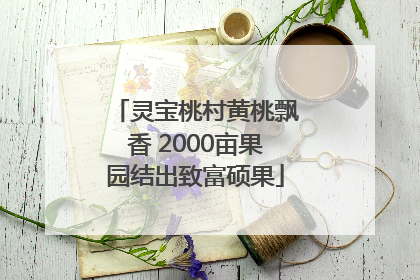 灵宝桃村黄桃飘香 2000亩果园结出致富硕果