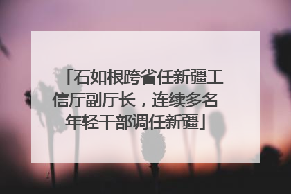 石如根跨省任新疆工信厅副厅长，连续多名年轻干部调任新疆
